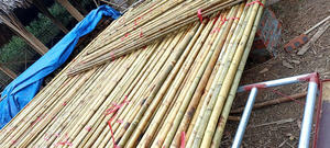 Tubes en bambou, produit phare pour les marchés d'exportation, directement de l'usine, avec devis avantageux pour les commandes en gros. - Product Image 3