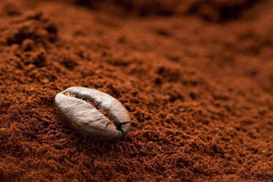 Producto agrícola de café en polvo de alta calidad de Vietnam en suministro a granel - Product Image 4