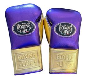 Gants de boxe personnalisables No Boxing No Life - Cuir de vachette de haute qualité, rembourrage épais à 4 couches, fermeture à lacets pour les arts martiaux - Product Image 1