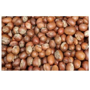 Nueces de karité de la mejor calidad - Product Image 1