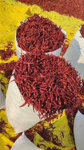 Chiles Teja Rojos sin Tallo de Primera Calidad con Color Natural Vibrante, Alto Valor de Asta, Especias de Longitud Media Ideales para un Sabor Rico - Product Image 3