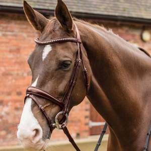 บังเหียนม้าของอังกฤษใหม่บังเหียนม้าทำจากหนังแท้สำหรับใช้ในการขี่ม้า - Product Image 4