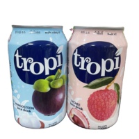Ananas frisdrank private label groothandel frisdrank in 330ml blik Vietnam OEM/ODM fabrikant
