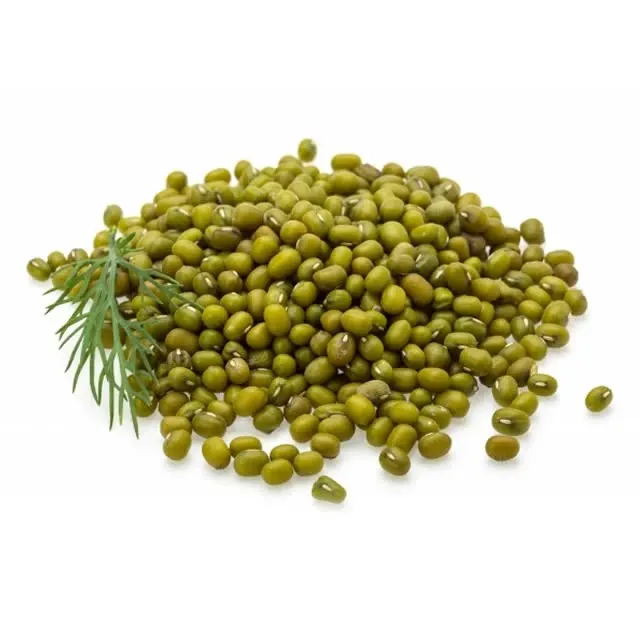 whole sale Green mung bean Moong dal sprout Ukraine mung beans for sale