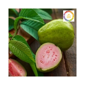 La goyave congelée offre un éclat de saveur naturelle avec chaque portion lisse, sucrée et rafraîchissante - Product Image 2