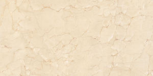 Azulejo de granito indio Diseño moderno ceramique et de fabricación de porcelana en La India para la recepción del hotel. - Product Image 3