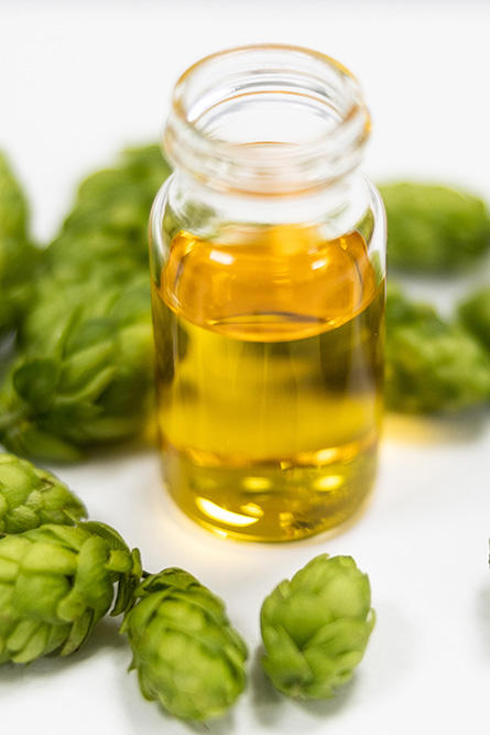 สีเหลือง