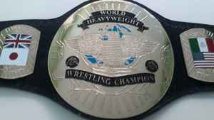 Wrestling Championship Belts Trophées Médailles et récompenses le symbole ultime de la victoire et de l'excellence Ceintures de championnat - Product Image 6