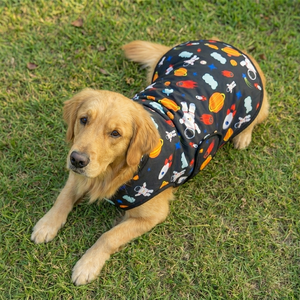 Abrigo para Perro Plegable, Ligero y Cómodo, con Diseño de Astronauta, Tejido Resistente para el Frío Invernal, Uso Diario al Aire Libre - Product Image 2