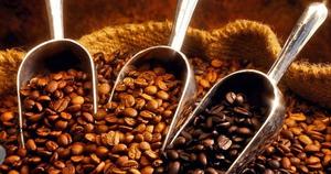 Café Arabica biologique torréfié du Vietnam, qualité AA+, certifié biologique USDA, café brut naturel, export en vrac, TNFOOD, durée de conservation de 24 mois - Product Image 5