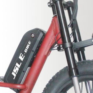 จักรยานไฟฟ้าแบบครุยเซอร์ 750w 48V ยางใหญ่ ระบบกันสะเทือนหลังคู่ โครงต่ำ <span class=keywords><strong>7</strong></span> สปีด - Product Image 4