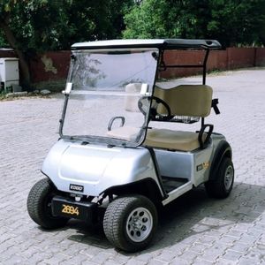 Carrito de golf para dos pasajeros - Product Image 1