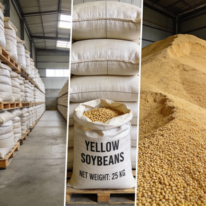 Soja Alemana Orgánica de Primera Calidad, 100% Sin OMG, Seca a Granel a Precio de Mayoreo, 25 KG/CTNS, 2 Años de Vida Útil, 50% de Proteína - Product Image 2