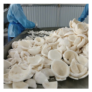 Coco congelado para servicio de alimentos: preparación rápida, rico en nutrientes, embalaje listo para exportar desde Vietnam por 99 Gold Data - Product Image 1