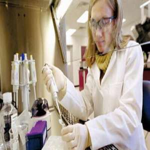 Vidrio Óptico BOROFLOAT 33 de Alta Precisión, Ranurado, para Aplicaciones de Biochip, Tamaño Personalizado - Product Image 5