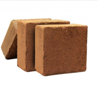 Bloc de tourbe de coco fabriqué au Vietnam, 5 kg, briquettes de tourbe de coco pour plantes