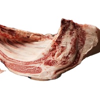 Viande de buffle congelée WATSON, emballée en vrac, partie du corps avec processus BQF, qualité alimentaire, USA