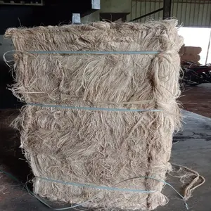 Fibre de sisal longue et propre avec haute résistance à la traction Fibre de sisal idéale pour les applications industrielles - Product Image 1