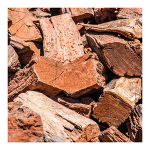 Leña chempedak de buena calidad disponible en volumen para estufas, chimeneas y calderas - Product Image 1