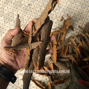 UTILISATION DE CANNELLE POUR DÉCOR/CUISINE/BOISSON 100% FRAIS - Product Image 3