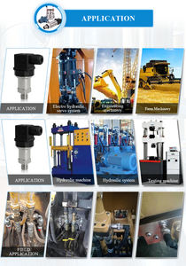 Trasduttore PPM-T222H sensore di pressione in acciaio inossidabile Oem in silicio diffuso <span class=keywords><strong>50</strong></span> <span class=keywords><strong>Bar</strong></span> 100Bar 300Bar - Product Image 6