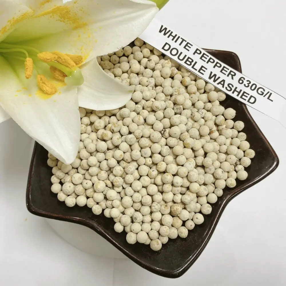 Cheapest Price White Pepper 630 GL Vietnam Spices Herbs Products Best Quality good Price Wholesales