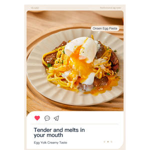 หม้อต้มไข่ไฟฟ้าอัตโนมัติสแตนเลสสตีลและพลาสติก110V แหล่งจ่ายไฟเครื่องนึ่งไข่ใช้ในครัวเรือน - Product Image 3