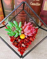 Puces de cristal de jaspe rouge naturel en vrac pour les projets de force et de vitalité de bricolage et autres travaux manuels en cristal