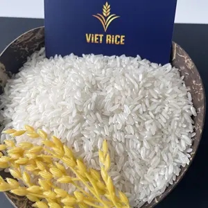 वैश्विक स्तर पर निर्यात किया गया सस्ता चावल, अंतरराष्ट्रीय निर्यात मानकों को पूरा करते हुए सस्ते चावल का निर्यात किया गया