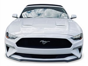 Ford Mustang EcoBoost RWD 2019 Usado en Buen Estado - Product Image 3