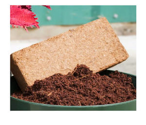 En tant que ressource organique et renouvelable, la tourbe de coco constitue une excellente alternative à la mousse de tourbe traditionnelle, contribuant - Product Image 4
