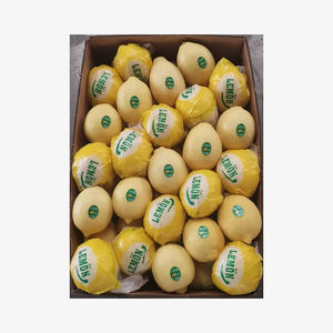 Limón Cítrico Fresco, Fruta Aromática Jugosa, Calidad Premium, Suministro a Granel, Listo para Exportación, Venta al por Mayor - Product Image 5