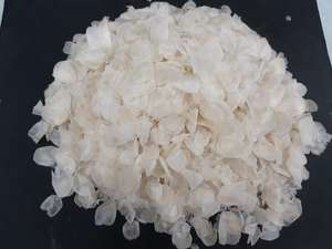 PRIX BON MARCHÉ Écailles de poisson séchées de haute qualité/poudre d'écailles de poisson se vendant bien de la manufacture du Vietnam avec des prix bon marché - Product Image 2