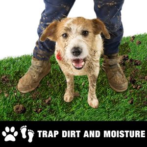 Alfombra de Césped Artificial Realista y Gruesa TH-PAG-534 para Mascotas, Diseñada para una Comodidad Suave, Fácil de Limpiar y para Uso Diario en el Entrenamiento - Product Image 2