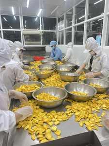 ชิปขนุนกรอบธรรมชาติแบบ100% | ผลไม้อบแห้งแบบสุญญากาศจากเวียดนาม | ชิ้นอบแห้งแบบสุญญากาศ - Product Image 2