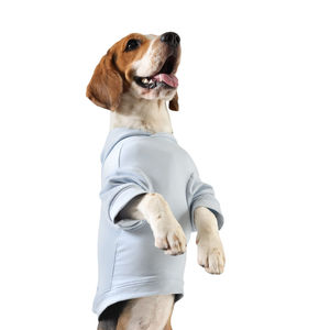 Wholesale Custom Printed Dog and Cat <b>Hoodies</b> Polyester Outdoor Wear Simple Style for Pets Dog <b>Hoodies</b> - Product Image 3