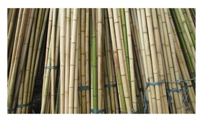 Postes de Bambú Artificial Natural para Decoración Interior y Exterior 99 Gold Data Factory Precio Barato al por mayor - Product Image 4