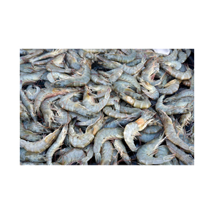 กุ้ง vannamei แช่แข็งสดใหม่สำหรับการจัดหาและการค้าอาหารทะเลจำนวนมาก - Product Image 4