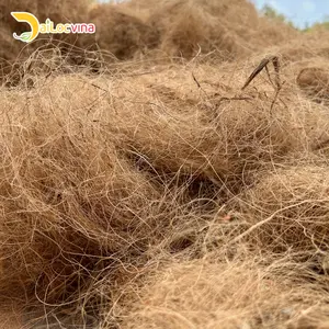 FIBRA COIR DE COCO PARA EXPORTAR HECHO EN VIETNAM CON LA MEJOR TASA Y HUMEDAD