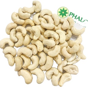 High Quality CASHEW NUTS WW240/W320 Kernel Processing Machines Organic Raw & Roasted Cultivation Great Price Vietnamese Supplier - Product Image 1