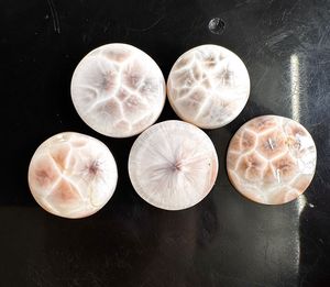 Piedra preciosa natural de Thomsonite, cabujón redondo, juego de colores de fuego múltiple/piedra de patrón agatizado de fuego para la fabricación de joyas - Product Image 5