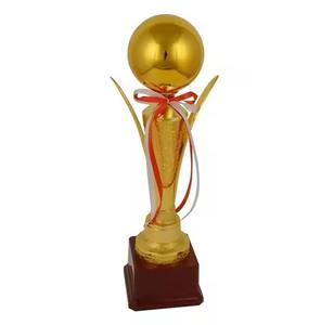 Coupe de trophée de cricket en métal, prix sportif de championnat, cadeau commémoratif - Product Image 1