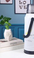 VF99 Chine Échantillon Gratuit Pas Cher Asie du Sud-Est Vente Chaude Bouteille Isotherme en Plastique pour Café, Thé et Eau 2L avec Intérieur en Verre
