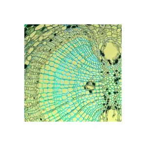 Thermo cellinsight CX7 HCS กล้องจุลทรรศน์คัดกรองเนื้อหาสูงสร้าง3rd - Product Image 3