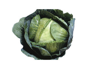 Chou vert biologique de qualité garantie - Produits frais pour l'exportation destinés aux besoins des entreprises - Product Image 3