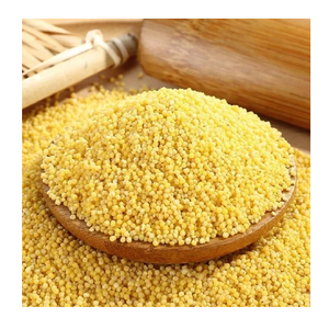 Millet jaune décortiqué biologique riche en protéines, sans gluten, pour la bouillie - Product Image 2