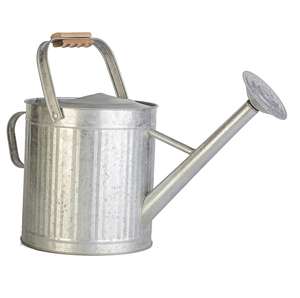 Regadera de metal funcional diseñada para facilitar su manejo, que proporciona una salida de agua constante para jardinería en interiores y exteriores. - Product Image 1