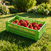 Oogstmanden Groene tuinmand Fruitmand Aardbeienmand Stapelmand