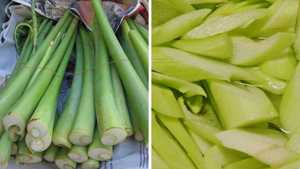 เผือกแช่แข็งจากโรงงานเวียดนามส่งตรงคุณภาพพรีเมี่ยม - Product Image 6