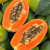 Groothandel Gedroogde Papaja Zaden Van Vietnam | Premium Landbouwproducten
